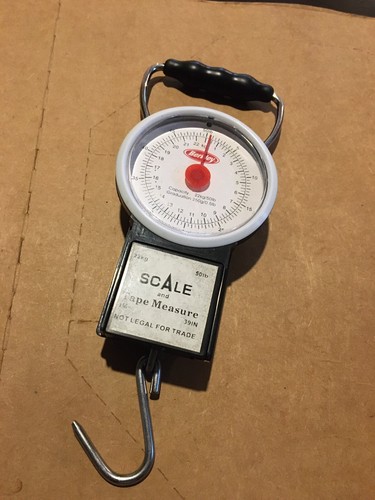 Berkley fishin gear bilancia - berkley, fishin'
