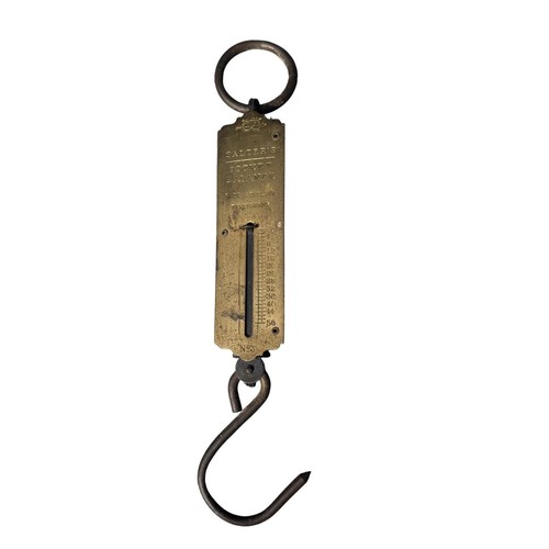 Salter pocket balance 3 - salter's, n.